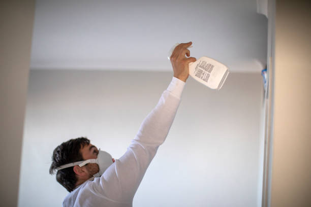 Best Emergency Mold Remediation in Winthrop, MN