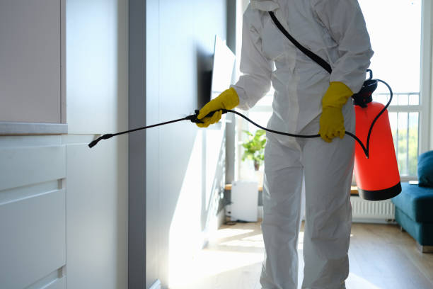 Best Kitchen Mold Remediation in Winthrop, MN
