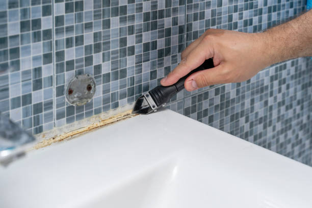 Best Health and Safety Mold Remediation in Winthrop, MN