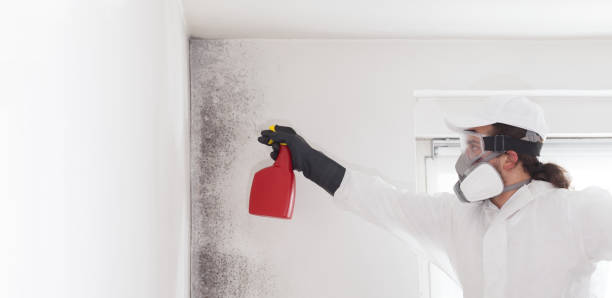 Best Industrial Mold Remediation in Winthrop, MN