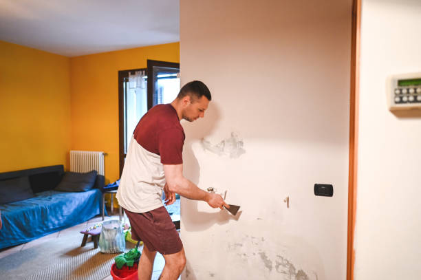 Best Attic Mold Remediation in Winthrop, MN